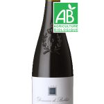 100% BIO Anjou Villages Confluens 2017 AOC (Bablut)