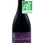 100% BIO Cuvée Antique 2018 (La Tour Penedesses)