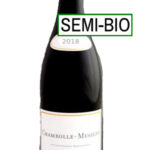 Chambolle-Musigny 2018 (Marchand-Grillot)