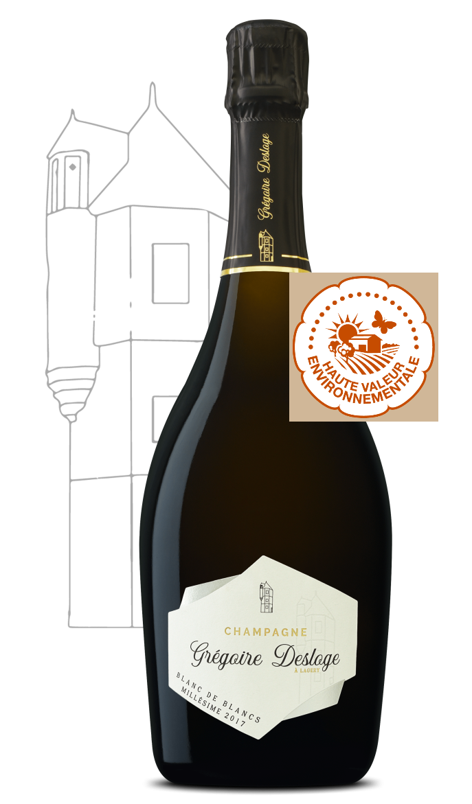 Champagne Blanc de Blancs Millésime 2019 (Gregoire Desloges)