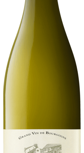 Corton-Charlemagne Grand Cru 2023 (Denis père et fils)