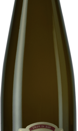 Gewürztraminer Weingarten 2024 (Klein-Wagenbourg)